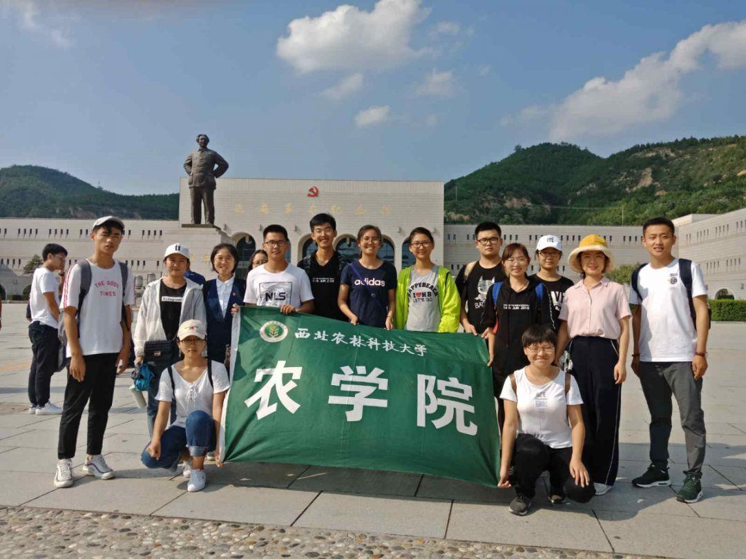 福建福安返乡大学生举办音乐会